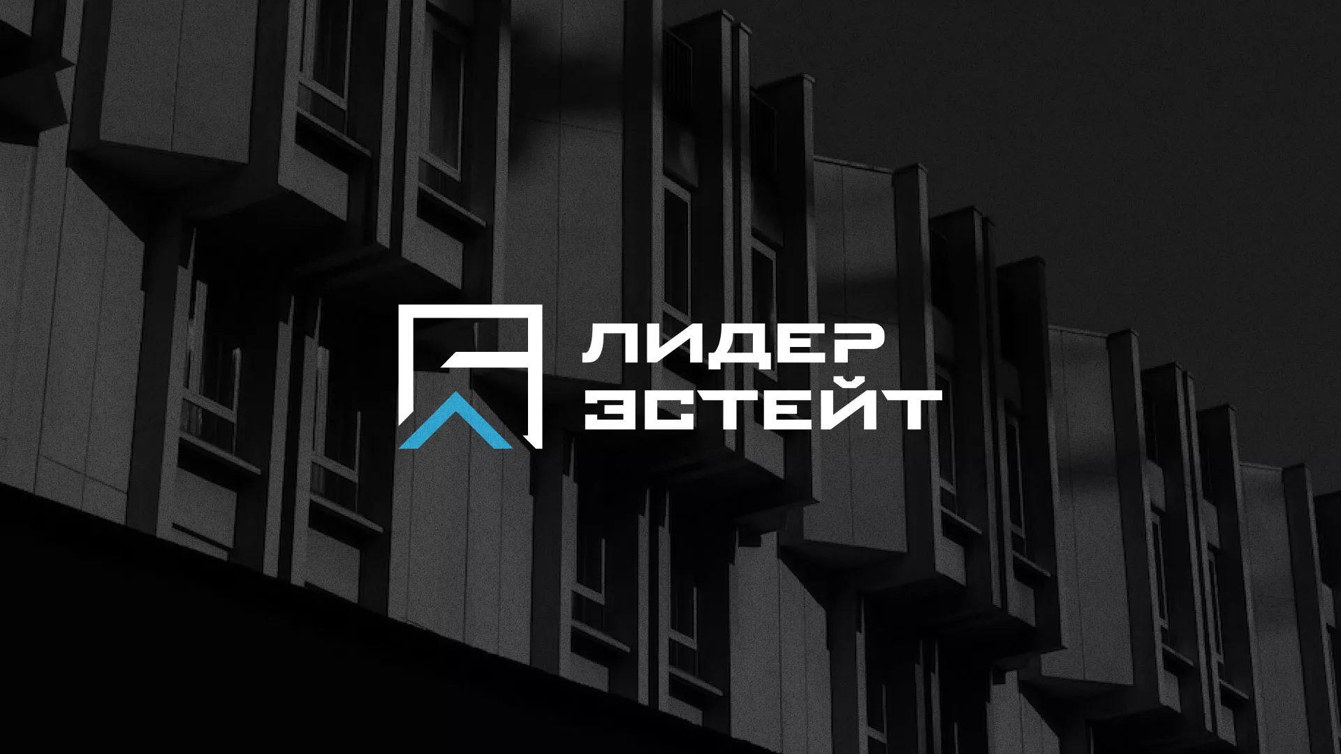 Разработка логотипа агентства недвижимости «Лидер Эстейт» в Коломне