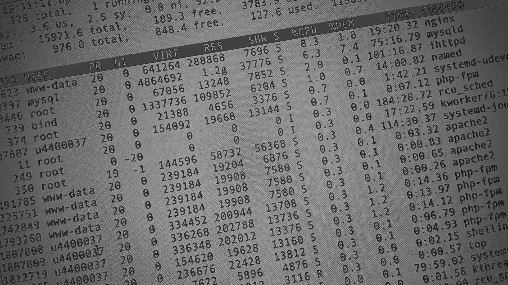 Настройка сервера в Коломне