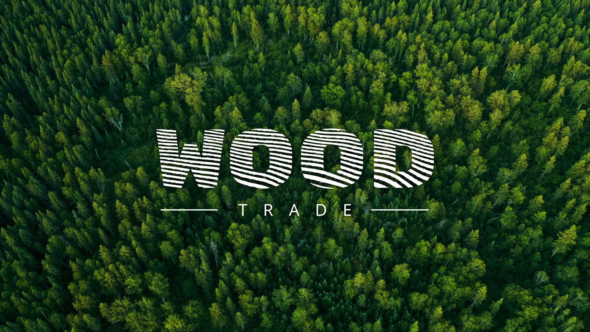 Разработка интернет-магазина компании «Wood Trade» в Коломне
